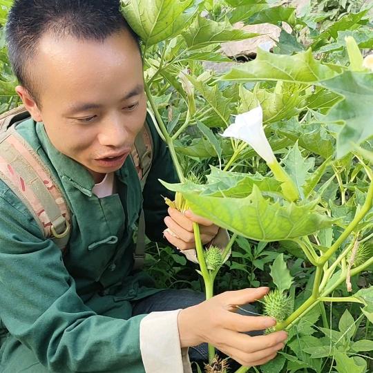 小黄信息咨询