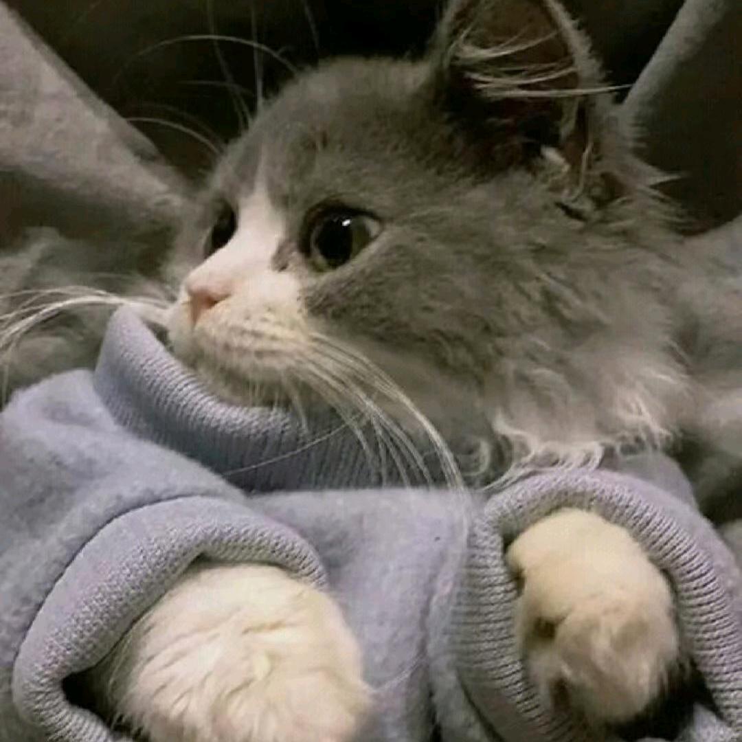 炉火糖粥