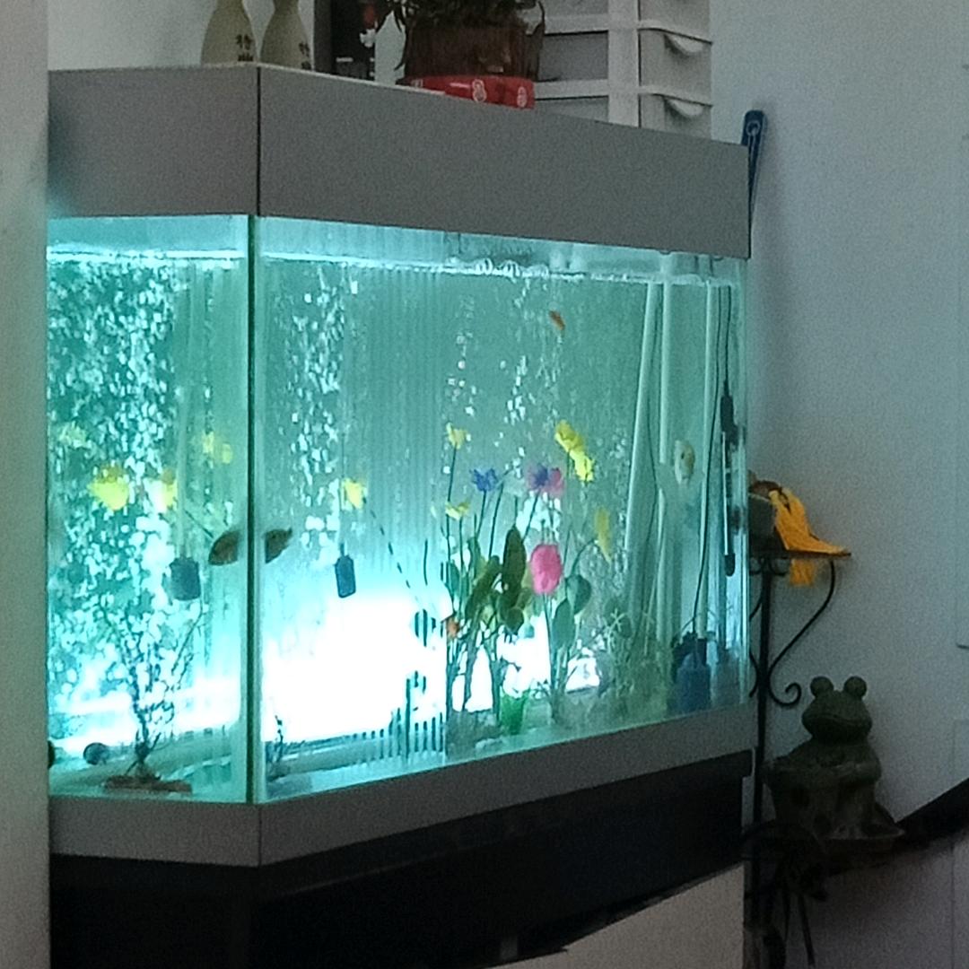 老2
