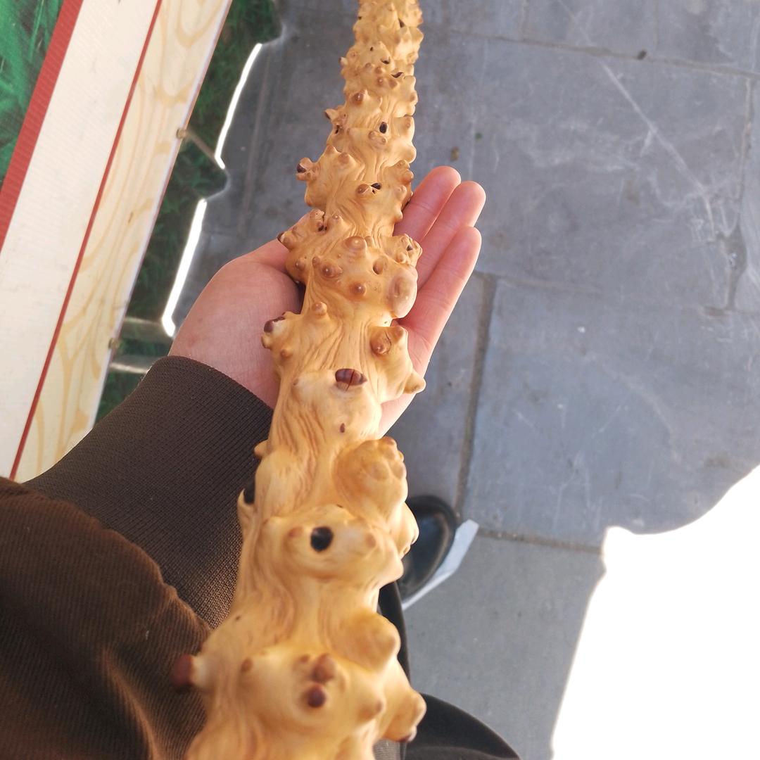 对节木文明棍