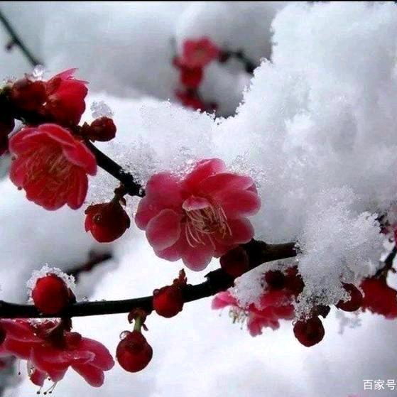 感叹号，，，