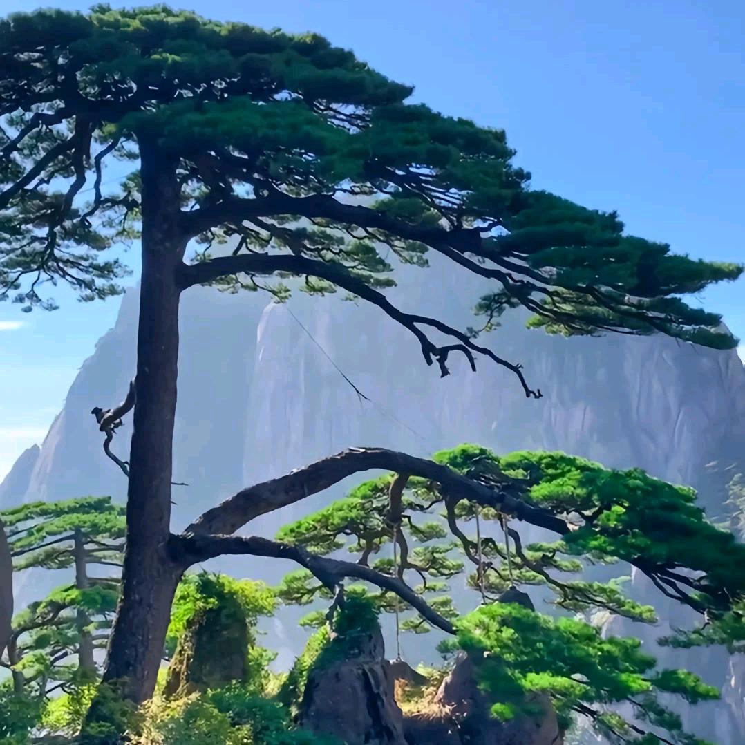 昨今明天