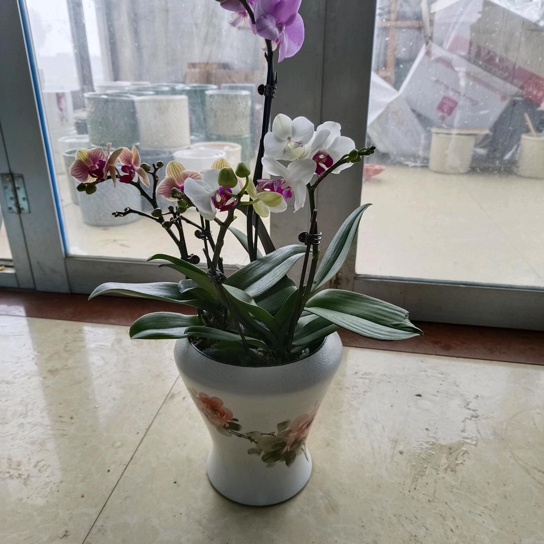 林州瓷行🤟