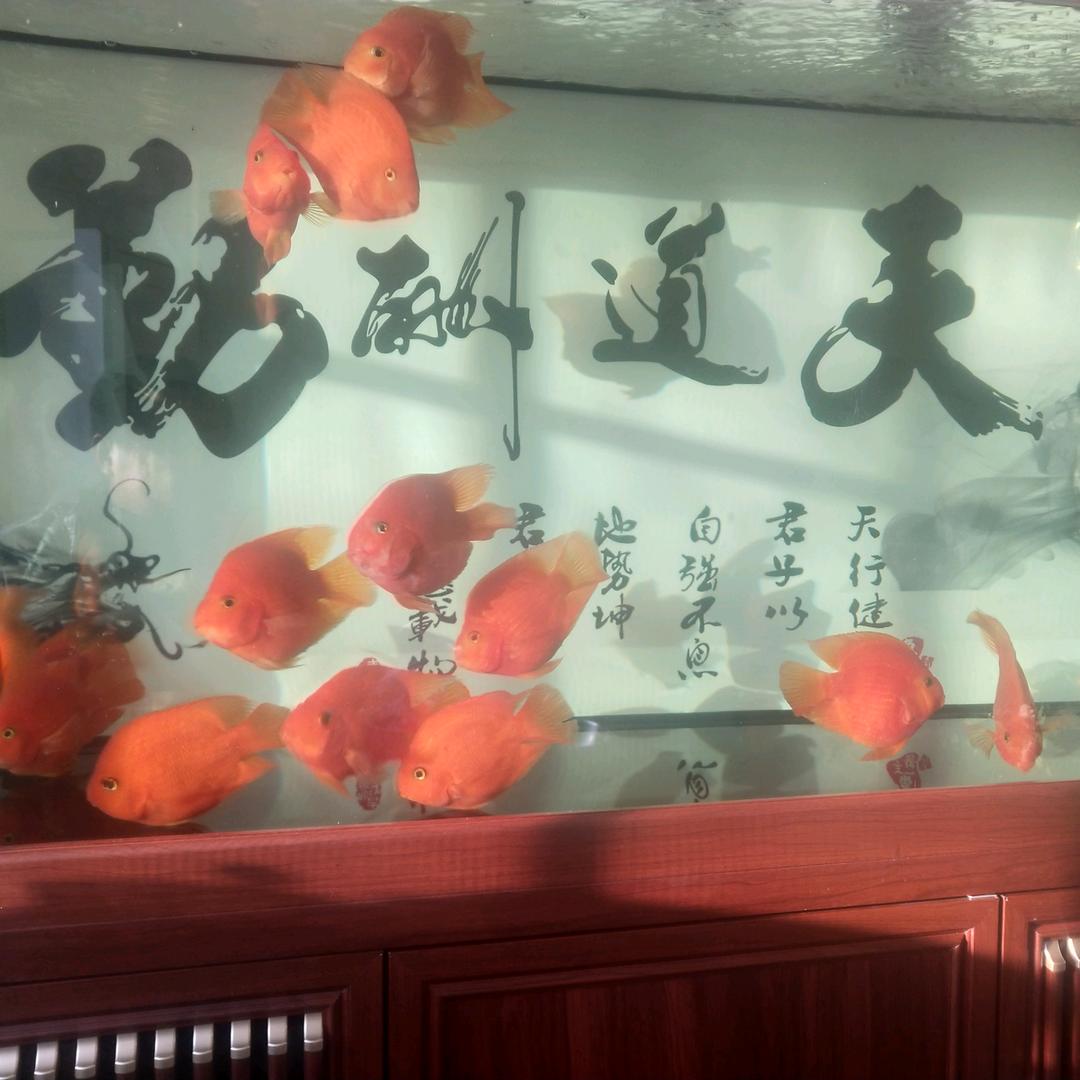 快乐人生