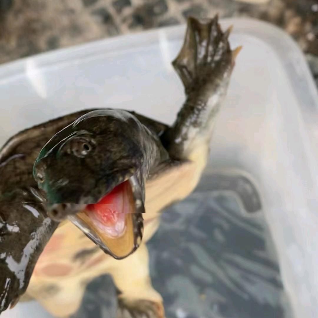 佳舜农产品经营部