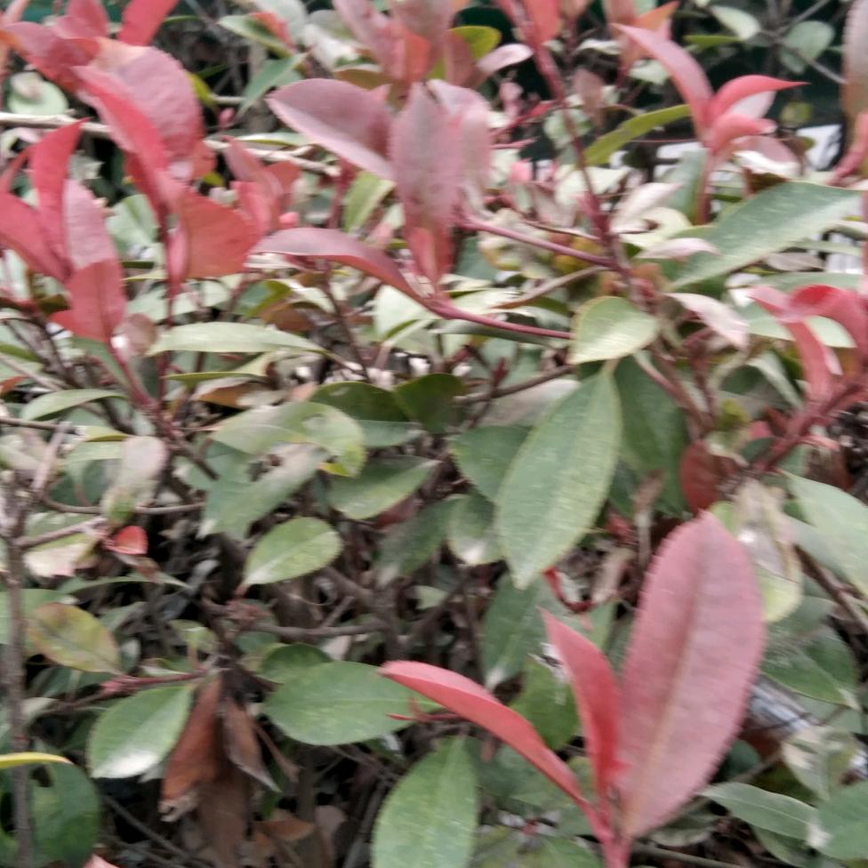 我爱我家