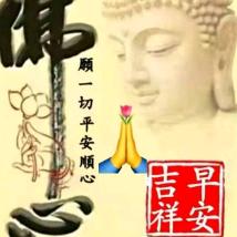 小白(′д｀ )…兔