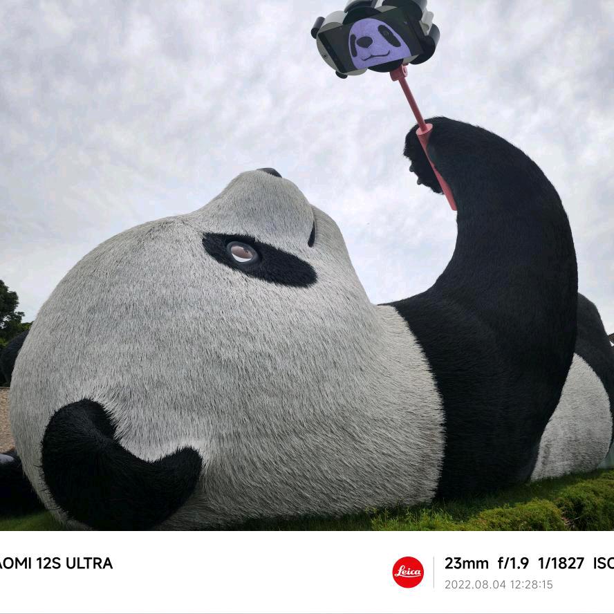 悠闲自在