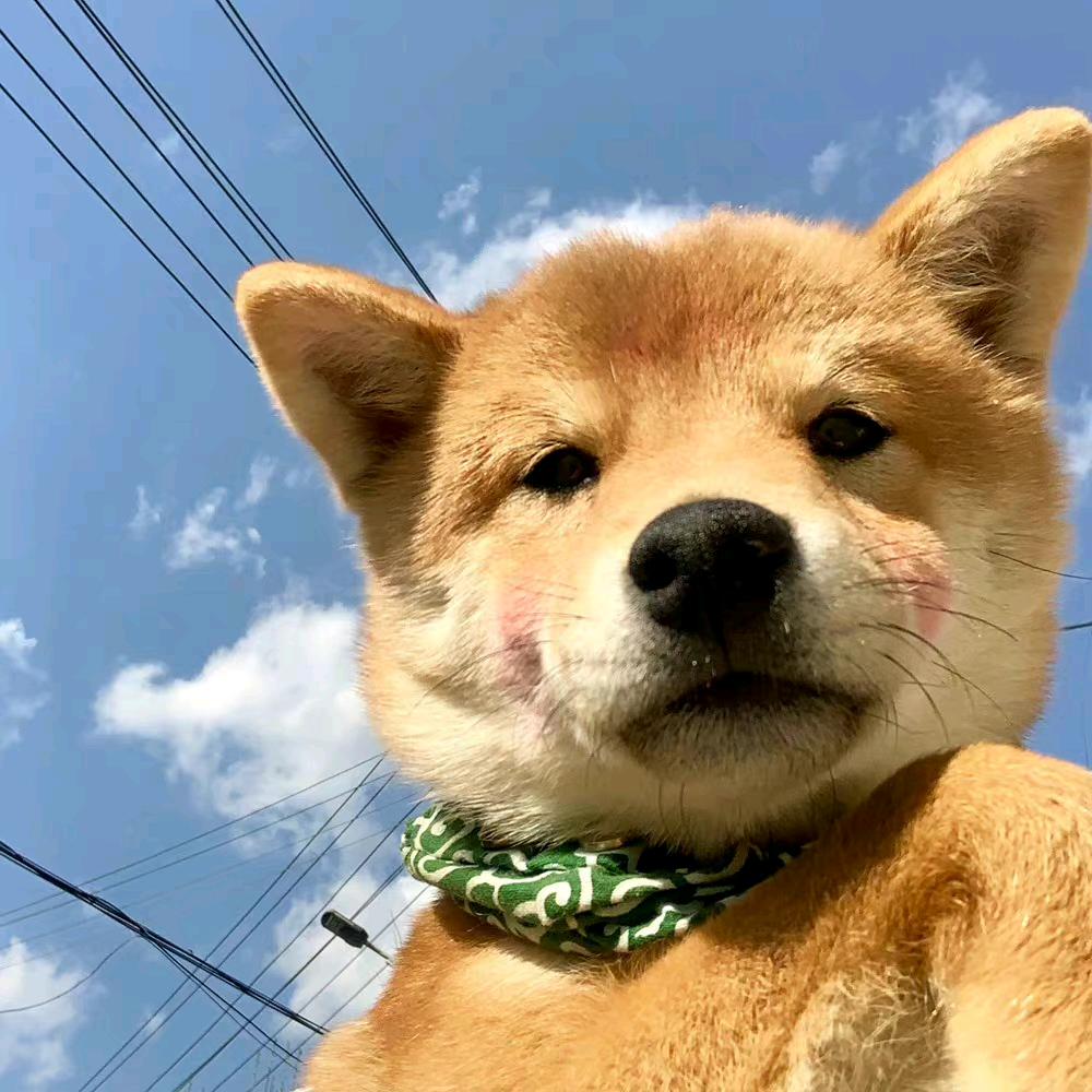 默数