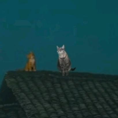 雪崩来临之前没有一片雪花是无辜的