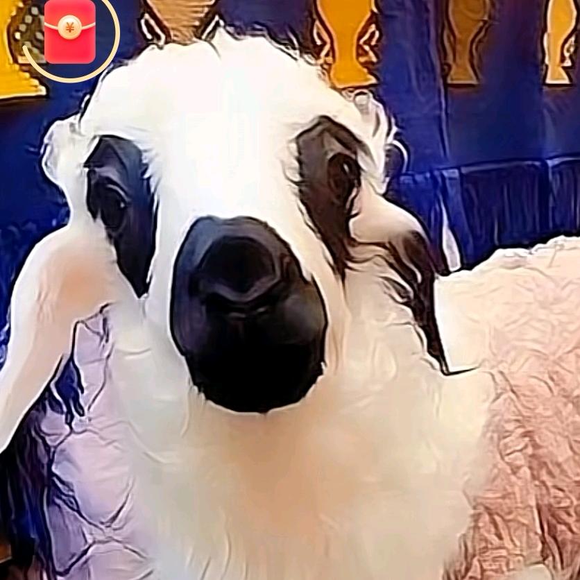 咩小姐