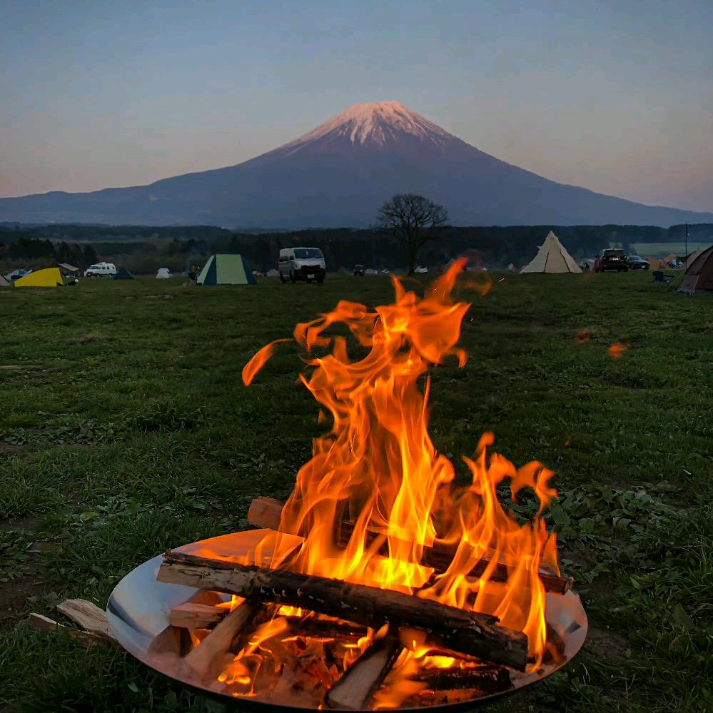 Liberaiders®︎🔴🔵