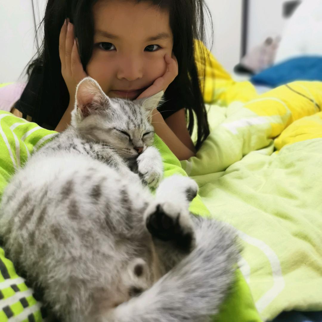 甜甜猫！世福