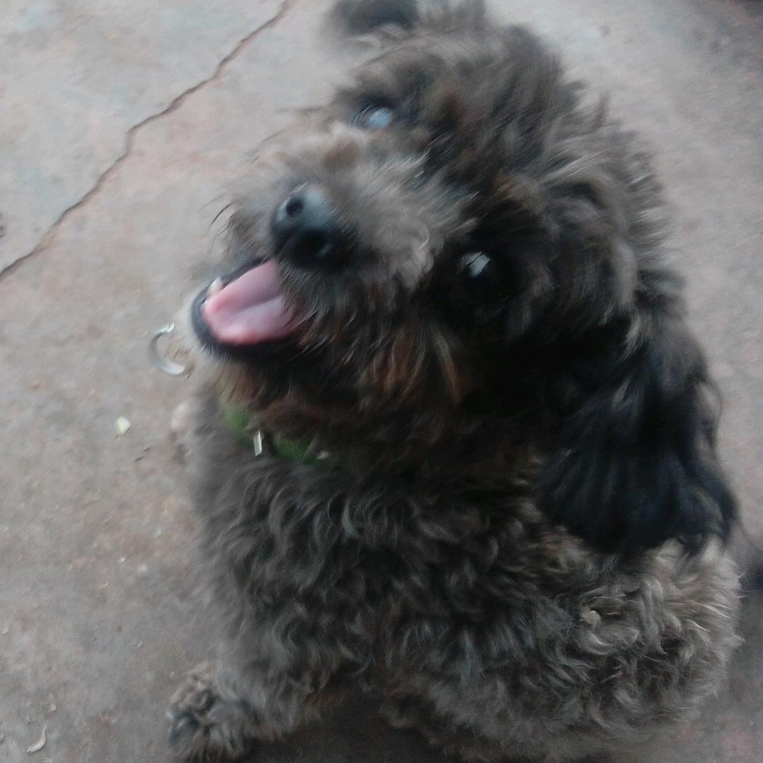 银河下的断魂使者