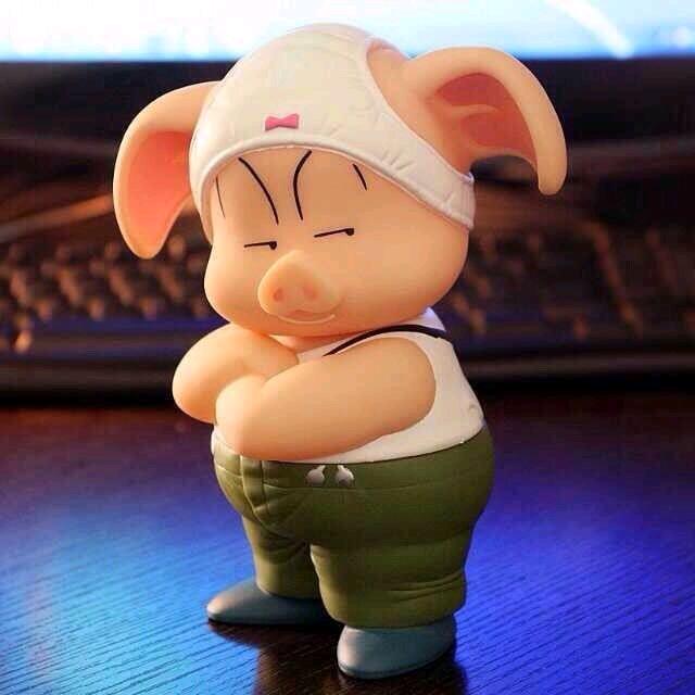 小乖猪（泉州568同城）