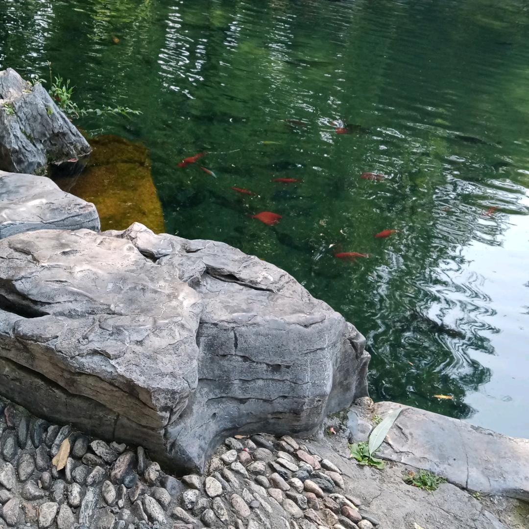 清风吟
