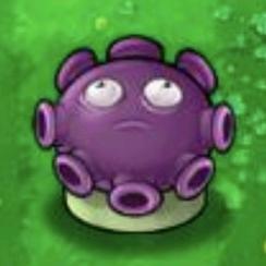 曾哥