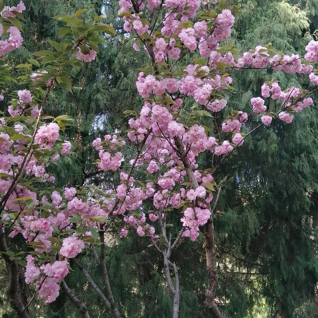 绿水蓝天