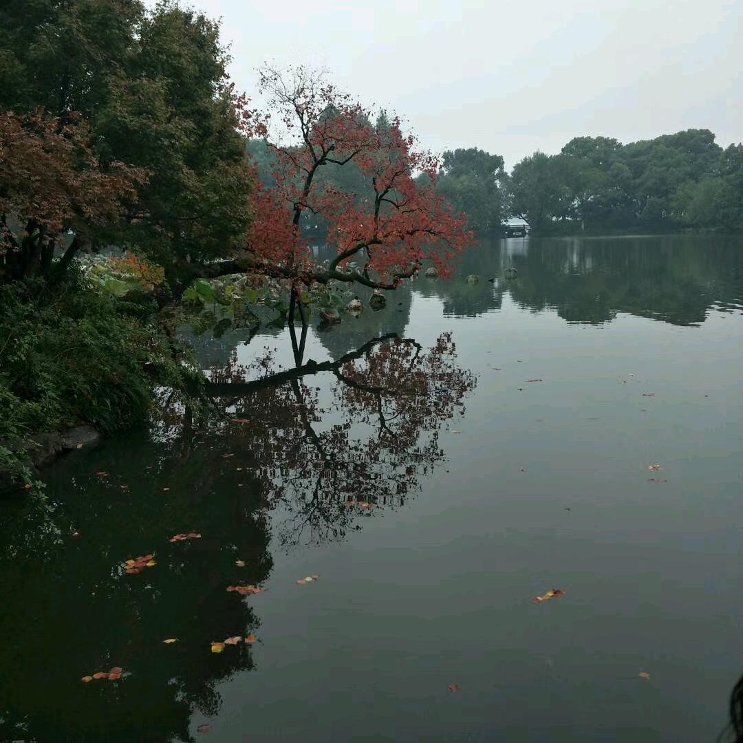 是我不够帅