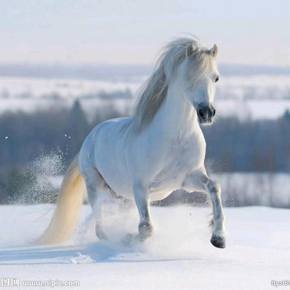 那个登。我收废品的，铁，铜，铝。厂房拆除