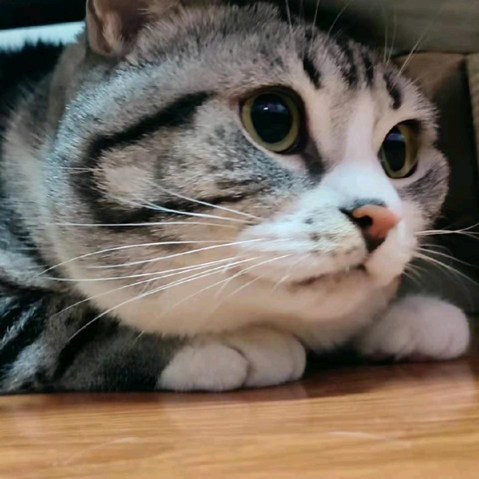 王云