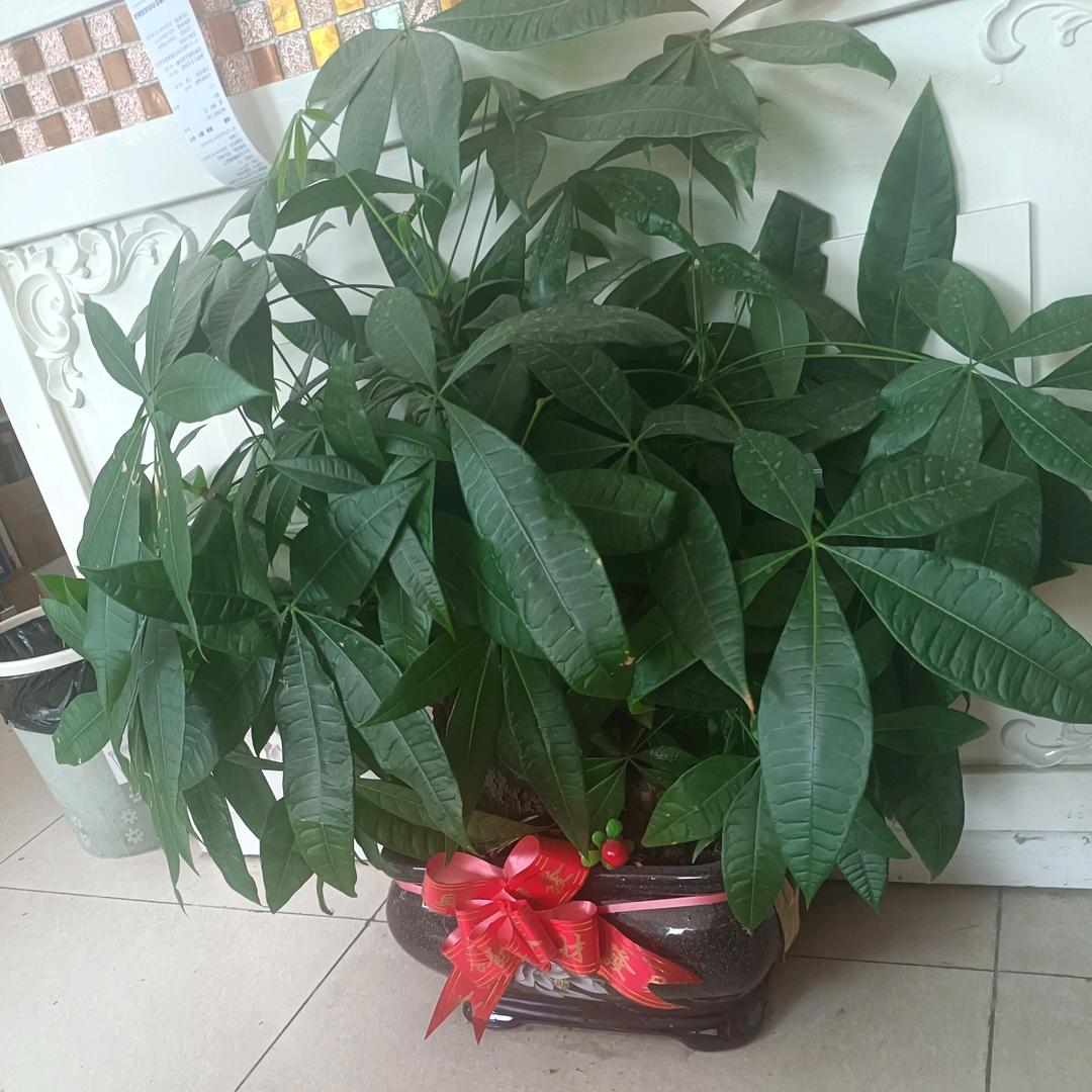 记得那一天