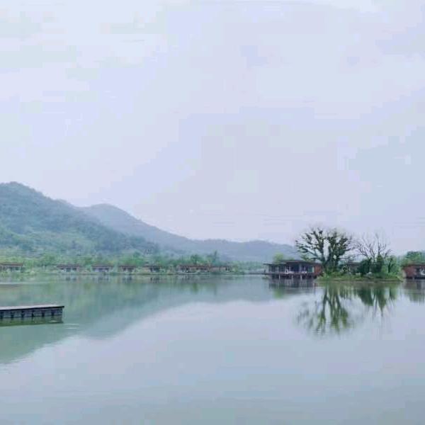 一心向好