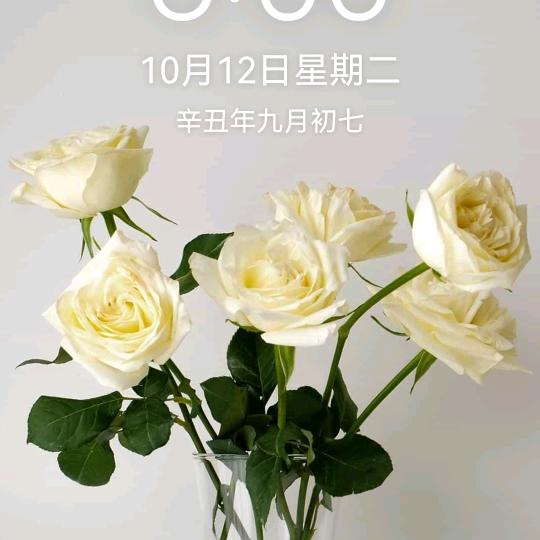 故乡情