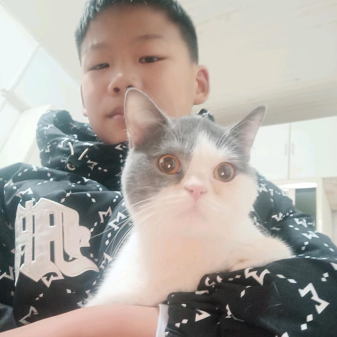 阿龙锅