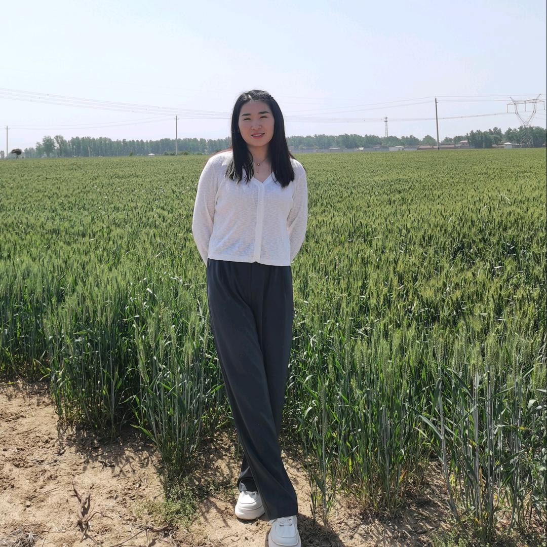 道禾装饰·要旗