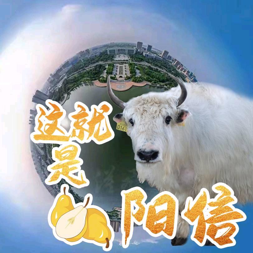 这就是阳信