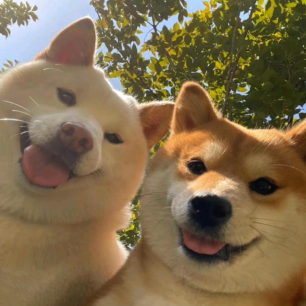 健康快乐的大美女