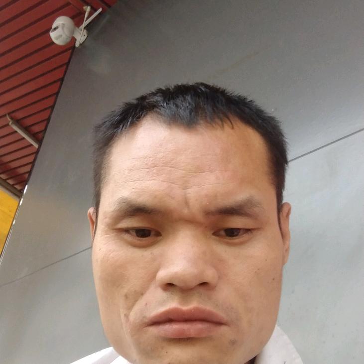 陈列平