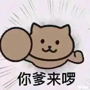 失效的氟西汀-财神爷的小宝贝