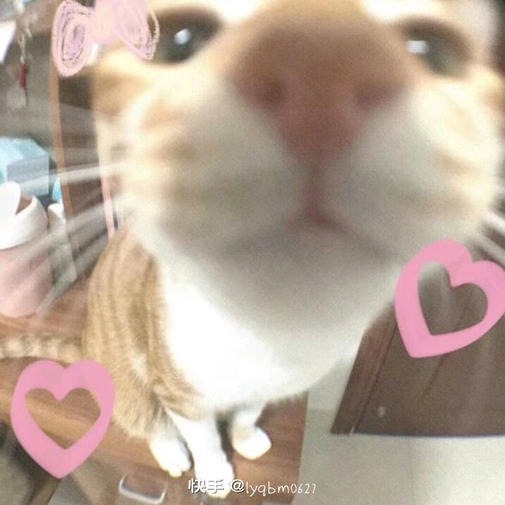 小乖ღ³.