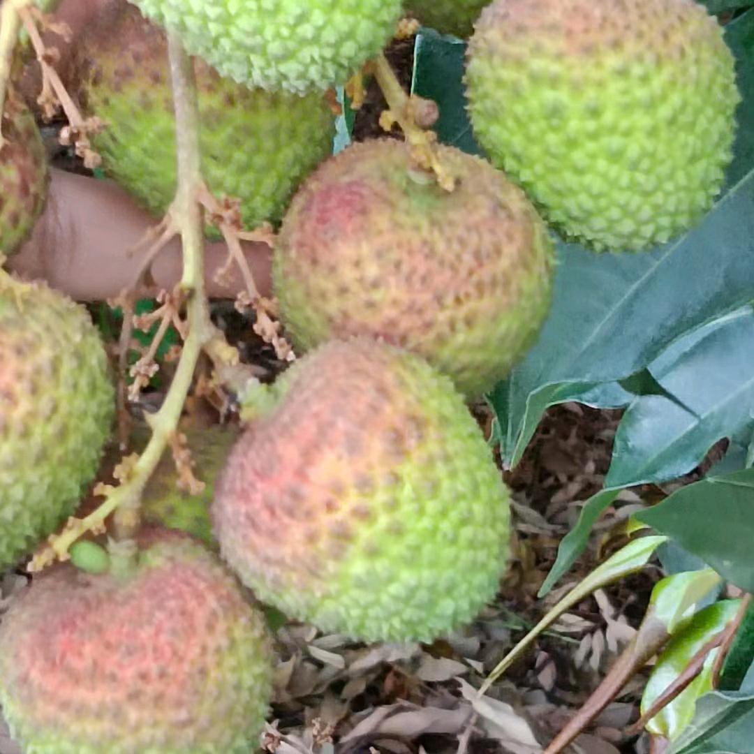 在等你