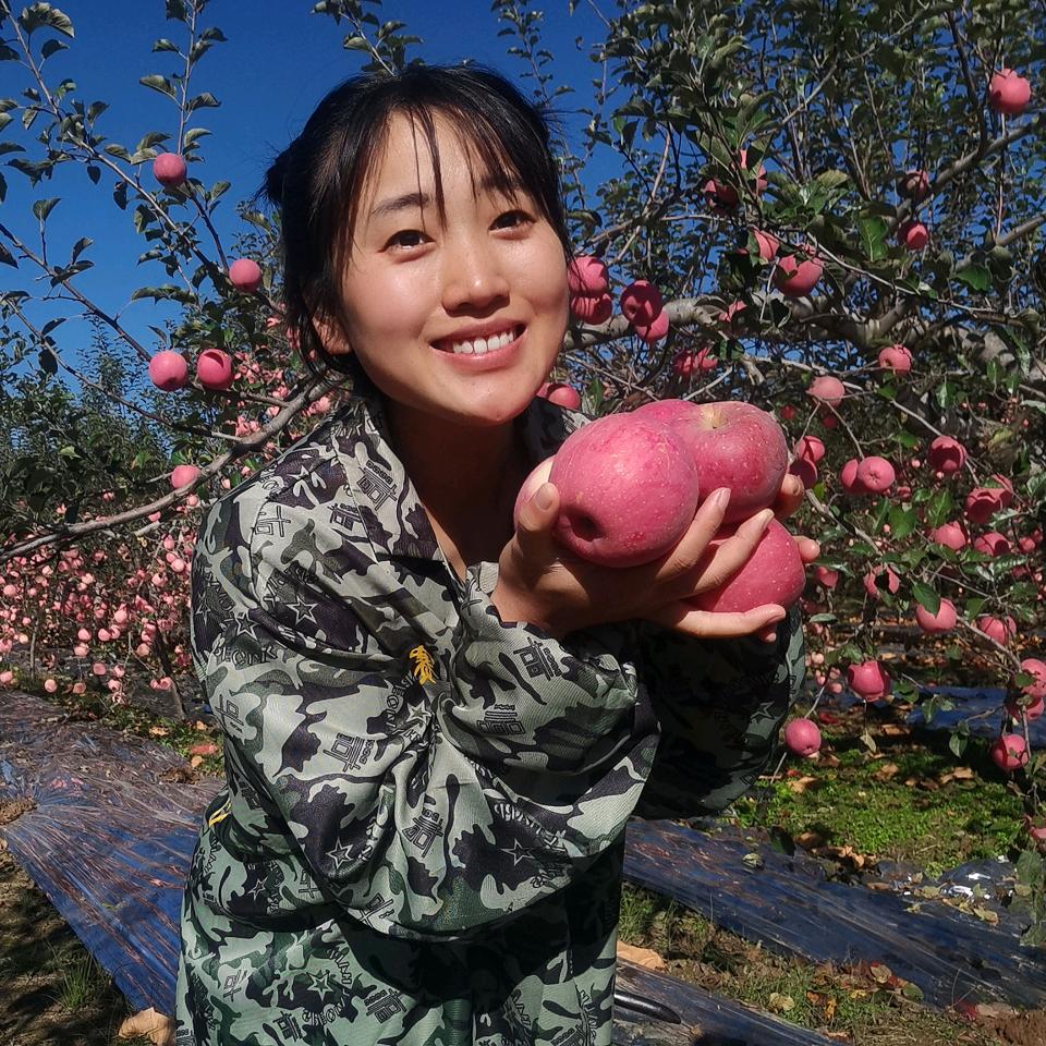 我是杨一