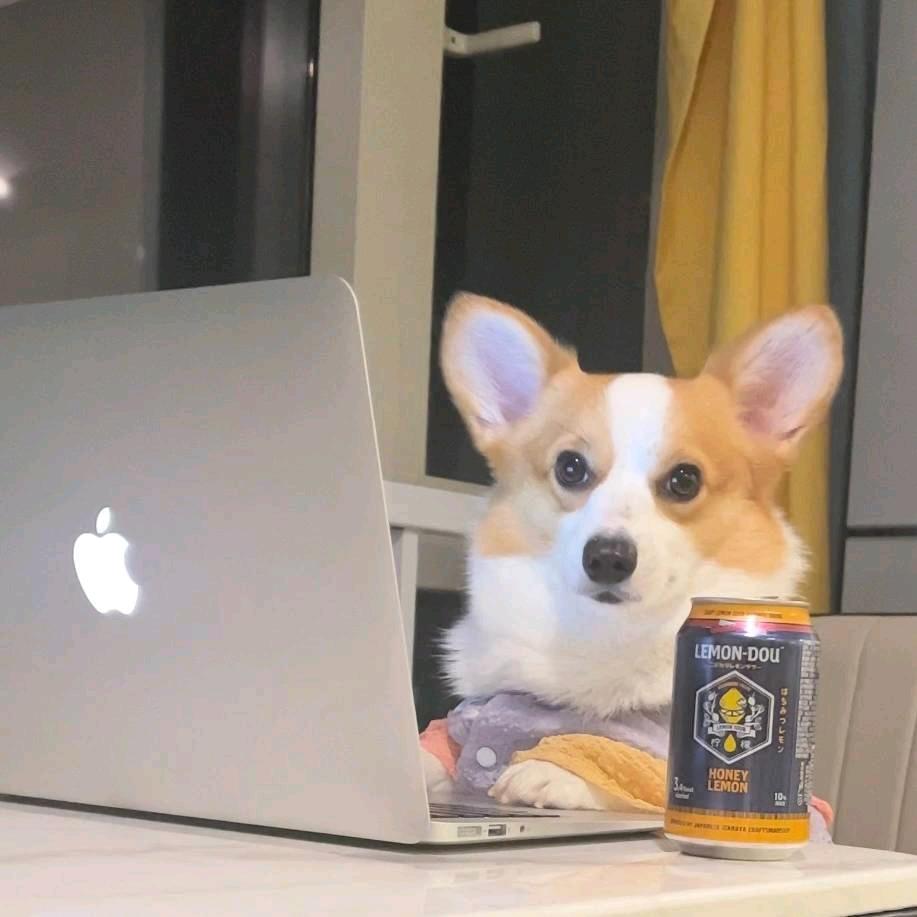 游
