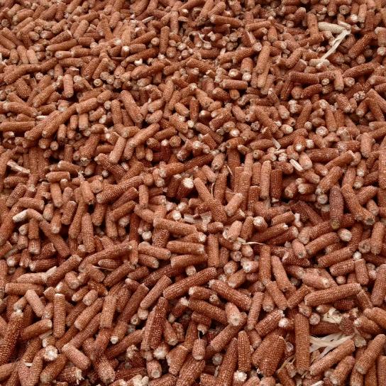 延边州【收购玉米芯秸秆稻壳电厂各种燃料