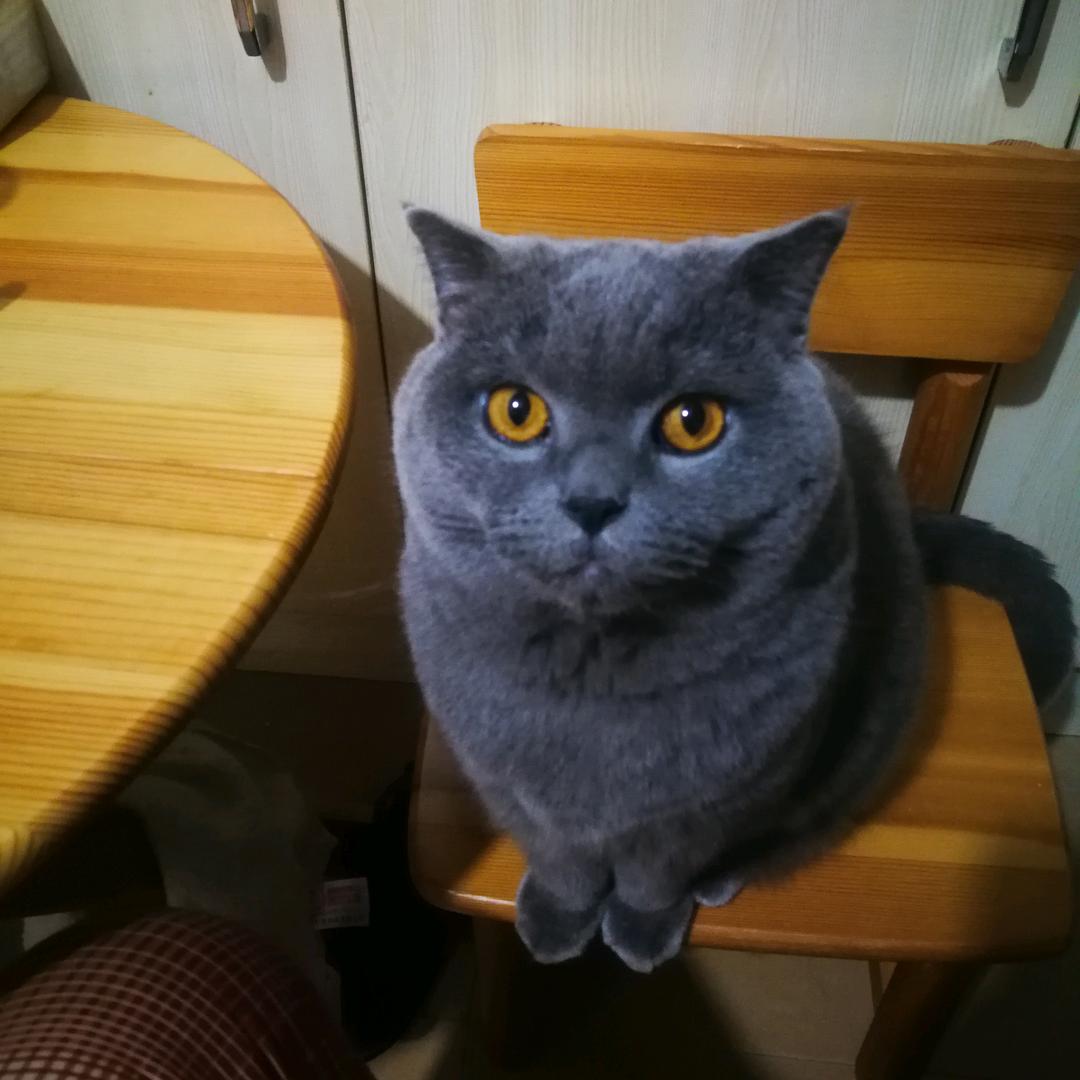 厦门市思明区黄磊工艺品店