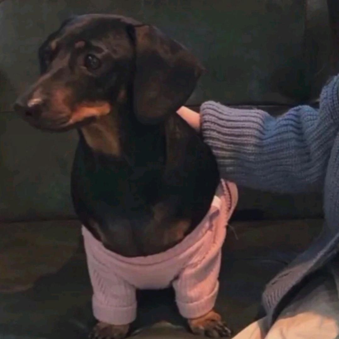 小林野摊溜达串