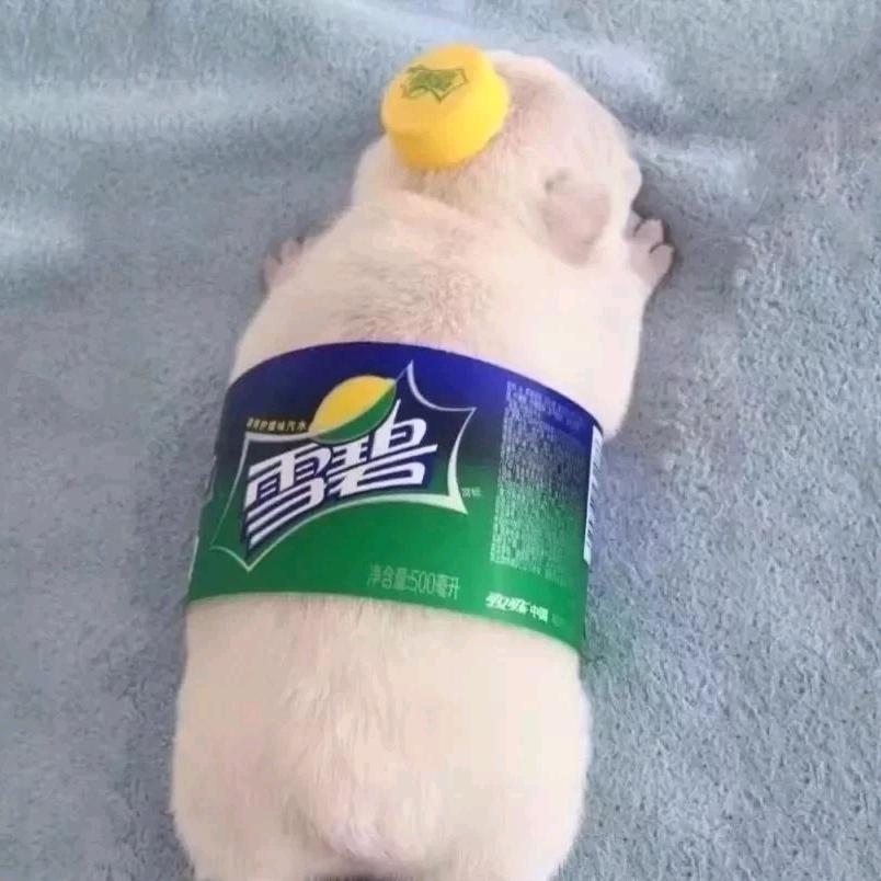 安人多梦