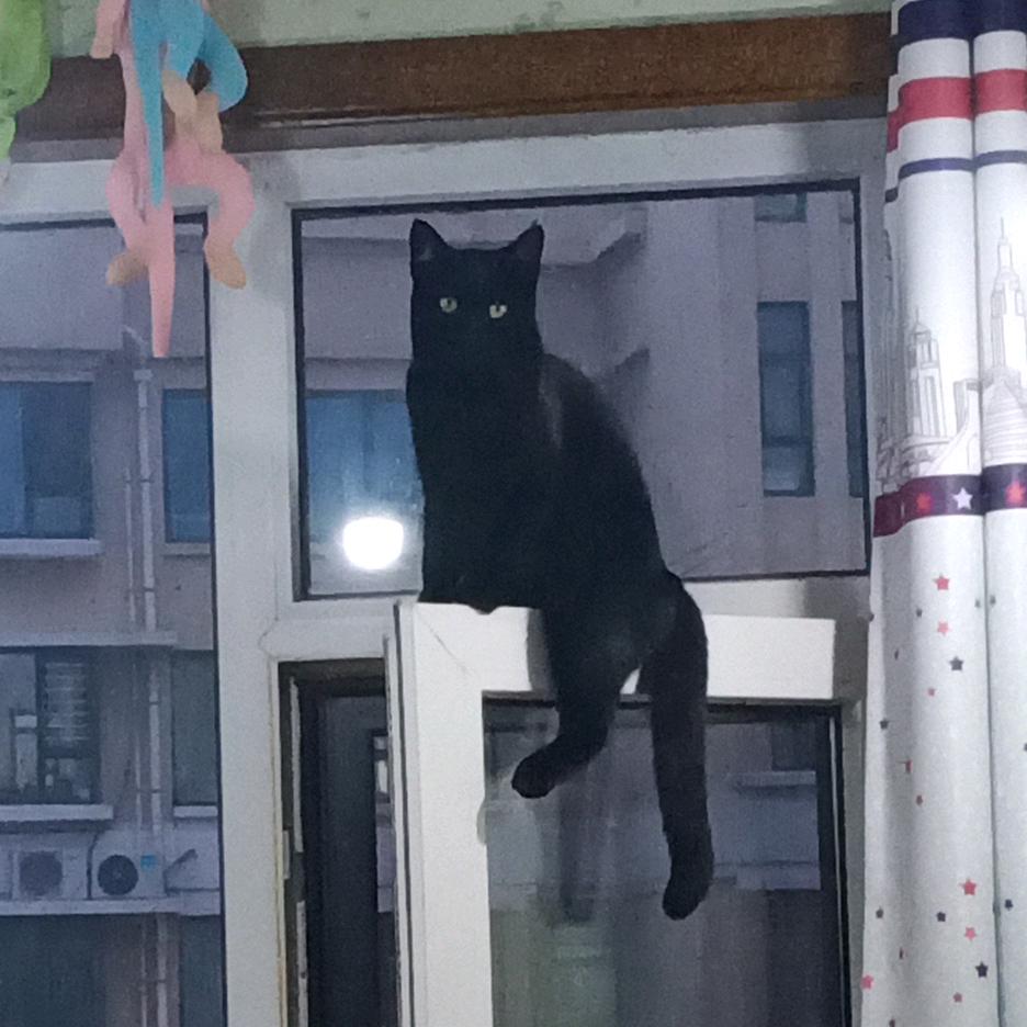 小艾逗！