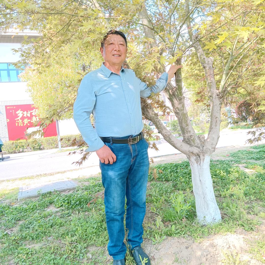 等你回来