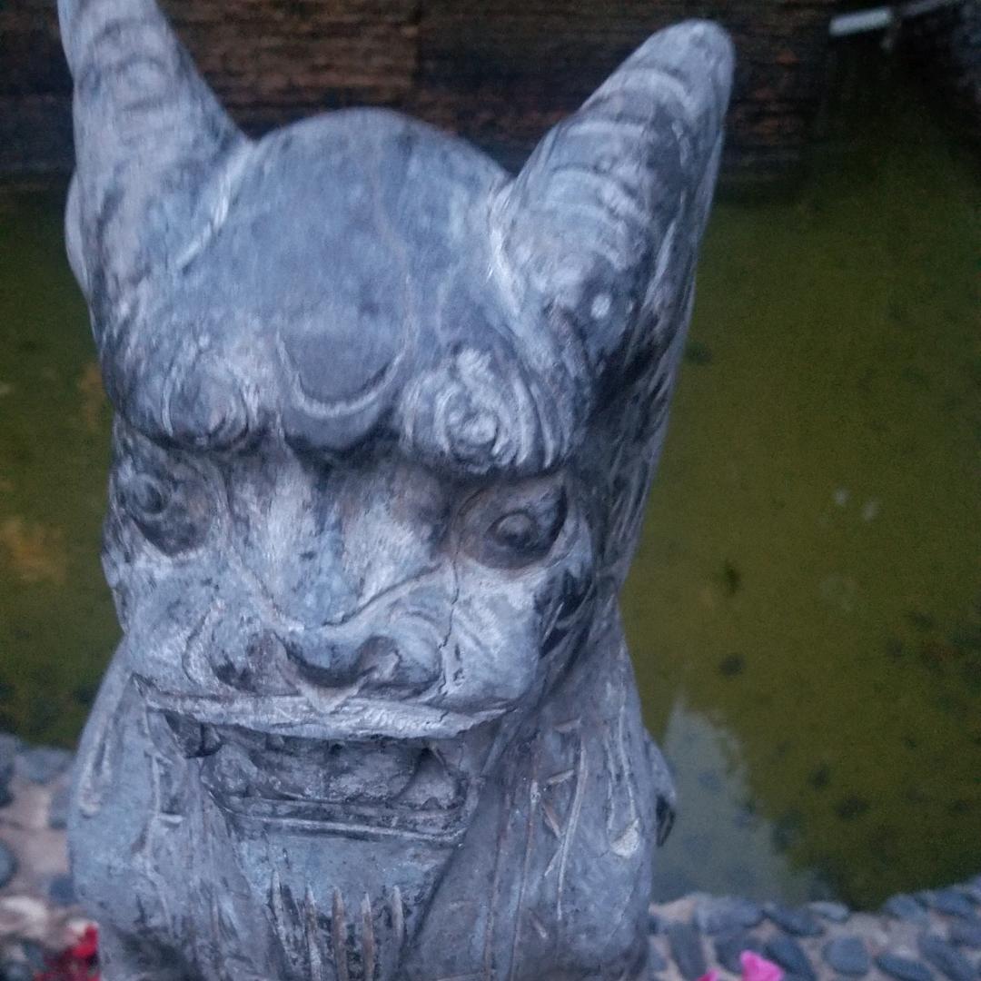远航