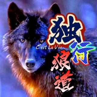 独行🐺狼道