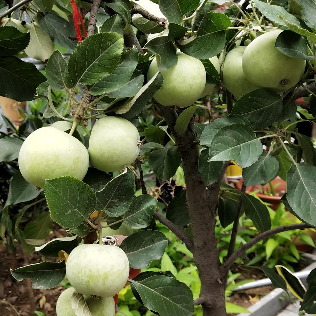 顺其自然快乐人生(请不要连赞)