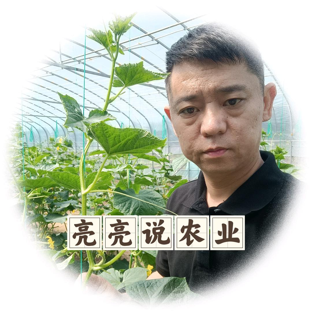亮亮说农业