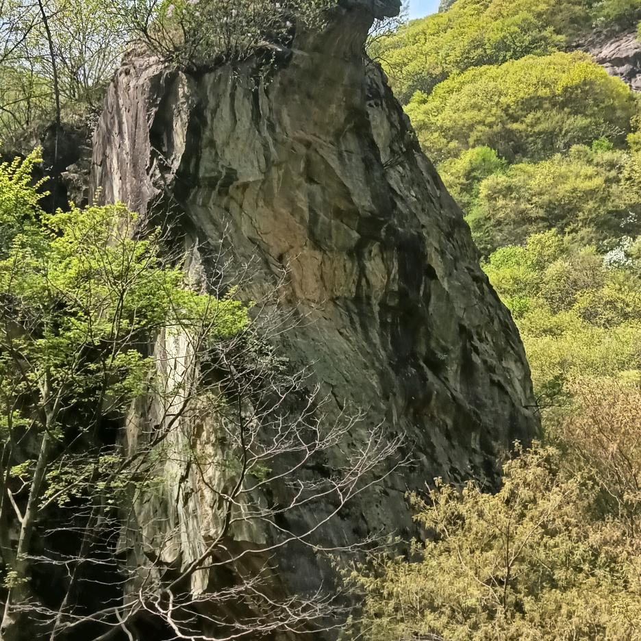 陈南四组