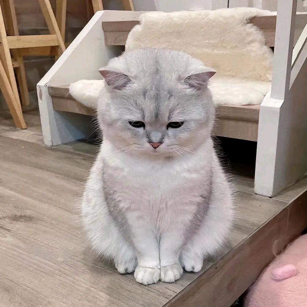 後来。